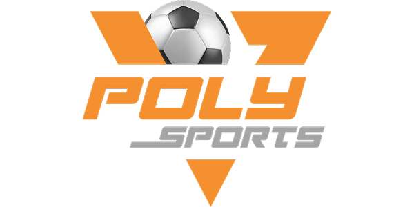 POLY-COLOR গেম চালু করুন